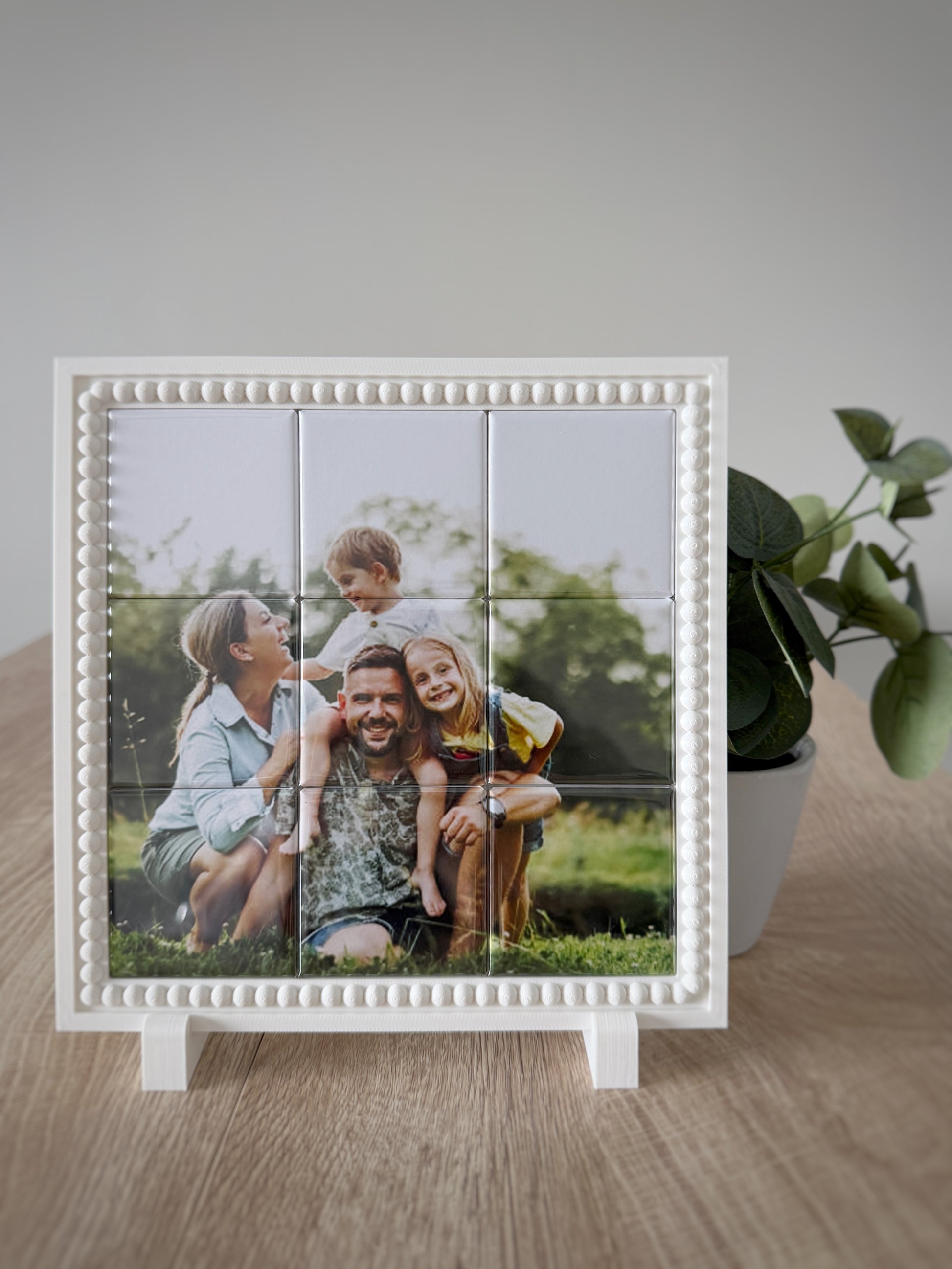 Complete Set - 9 Piece Mosaic Photo Magnets + Magnetic Frame