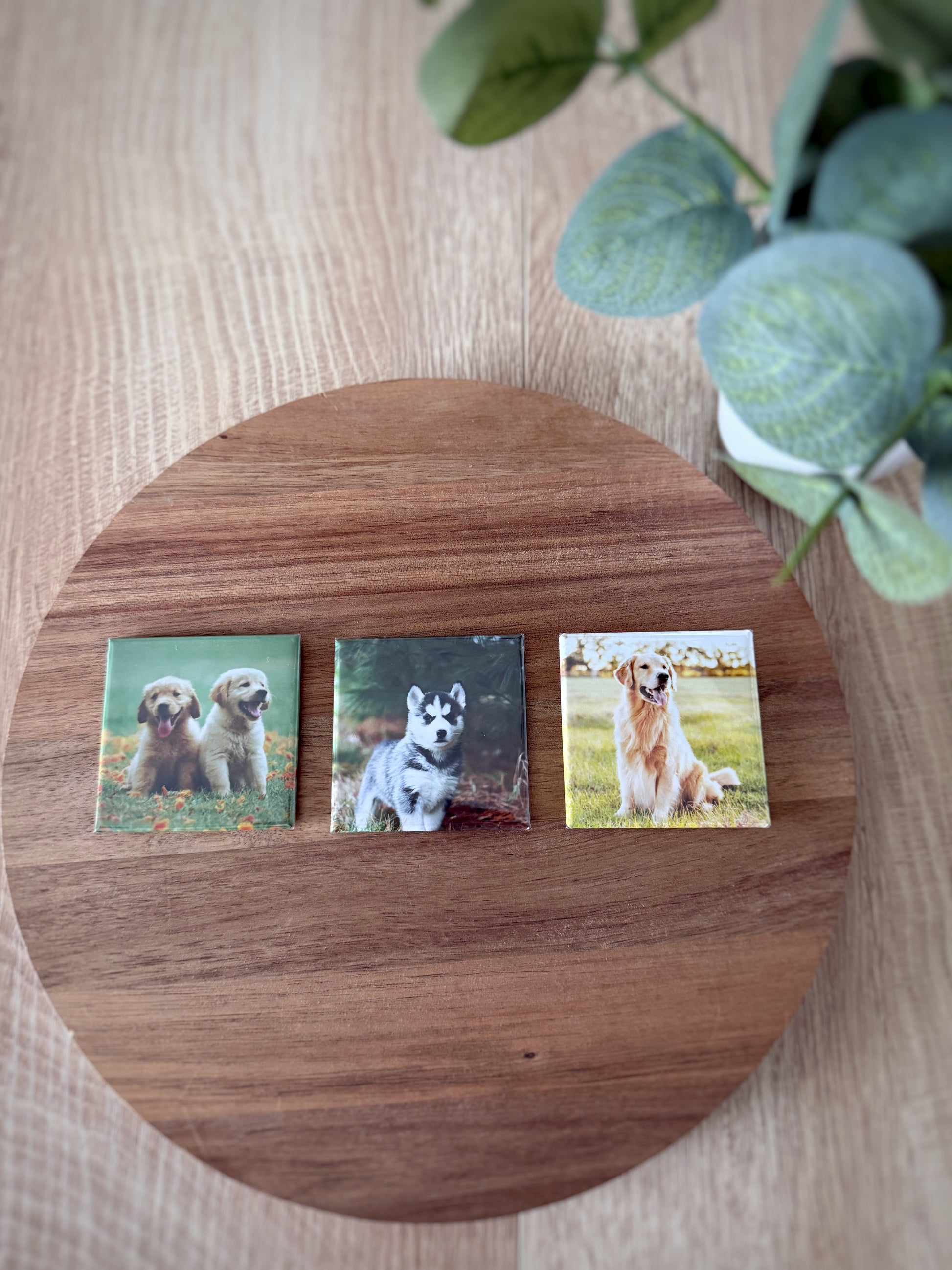 Square Photo Magnets